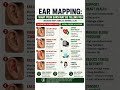Ear Mapping Explained | What Your Ears Reveal About Health #shorts #hearsmart #earmoulds #earloops