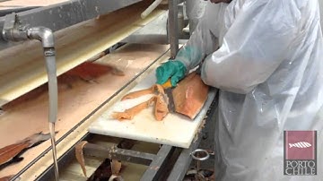 Proceso Filete Salmon