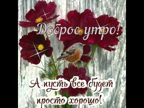 Доброе утро. Пусть все будет хорошо.