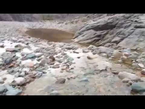 نجل ديرتي ابوقرن الأحمدي أحمد الأربعاء 29 3 1435ه