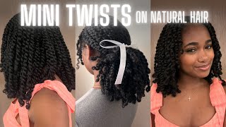 My Mini Twist Routine on Natural Curly Hair | Protective hairstyle, No heat, No hair added