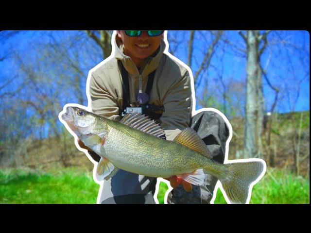 Catching a Ton of Fish with Bobber and Worm! 