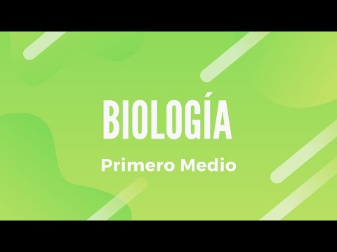 Vídeo: Per a la productivitat primària neta, l'energia capturada és?