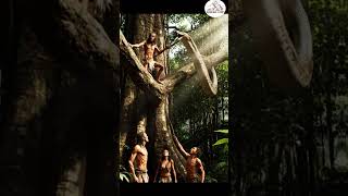 Celebrity Primitive Humans Rescue from Giant Python Attack! Dangerous Snake Encounter #earlyhumans #ai #viral Profile