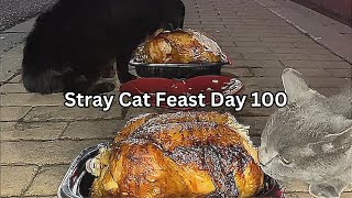 Stray Cat Feast Day 100 by SW 65 views 3 months ago 53 minutes