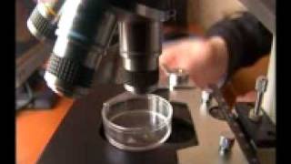 Cemtech Technologie Xxi Jahrhundert De