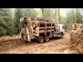 Camiones forestales panguipulli