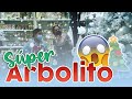 LLEGÓ LA NAVIDAD 💝😍🎁  ''COMPRANDO MI ARBOLITO🎄''