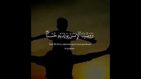 اجمل تلاوه  للقارئ عبدالرحمن  مسعد تلاوه من سوره العنكبوت ووصينا الانسان بوالديه حسنا❤🤗