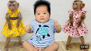 Diana monkey and baby wearing beautiful new clothes