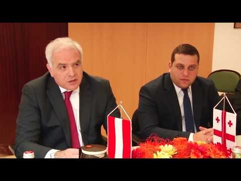 საქართველო და ავსტრია საგანგებო სიტუაციების დროს ურთიერთდახმარების შეთანხმებას გააფორმებენ