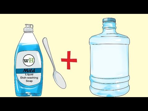 Video: Cómo Secar Una Baya