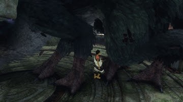 The Last Guardian - Part 3 The Trap: Open the Gate  For Trico (Awakes & Attacks Armored Knights)