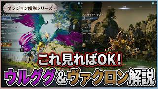 [AION2] Complete Guide to Ulug Valley and Vakhron! Thorough Explanation of Gimmicks & Preparation...