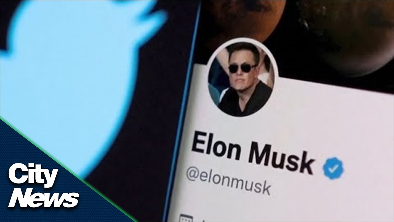 Business Report: How will Elon Musk change Twitter? - YouTube