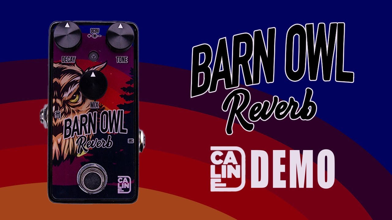 Caline - G-008 Barn Owl Reverb - Demo