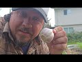 Beginning of video