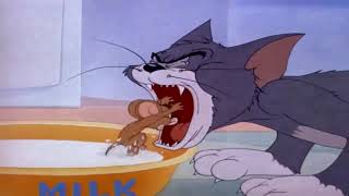 Tom And Jerry English Episodes - Milky Waif - Cartoons For Kids