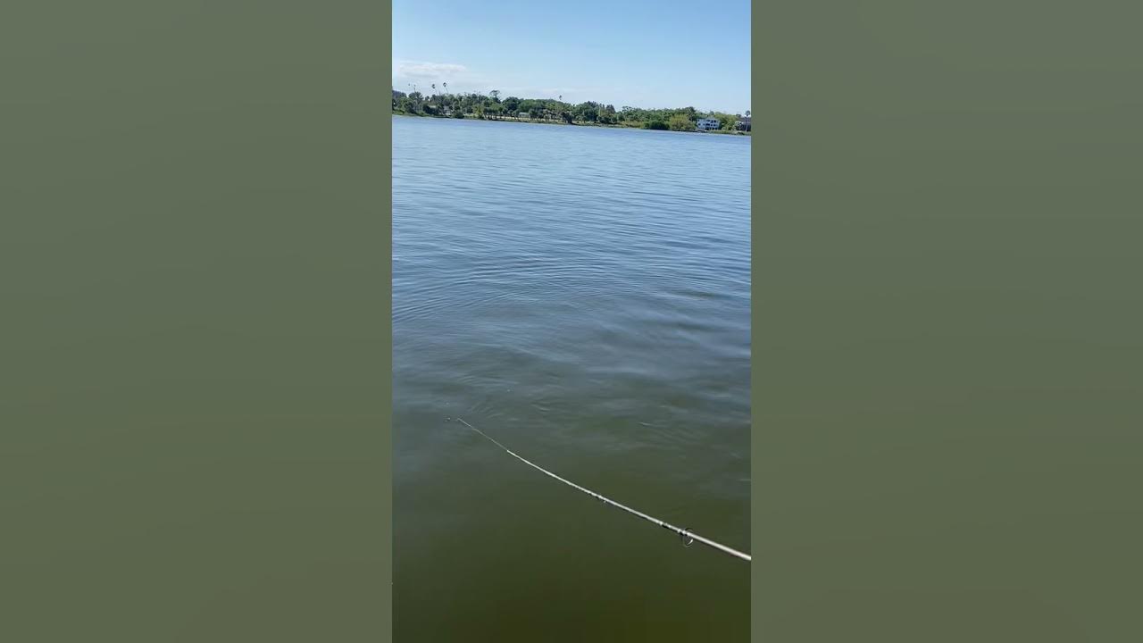 Florida fishing YouTube