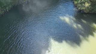 Dangar Falls Dorrigo NSW Australia