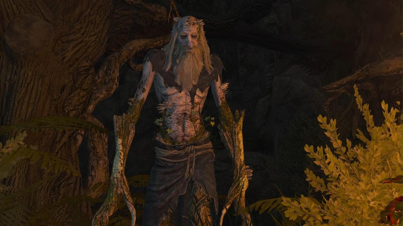 The Witcher 3: Ps5 Grottore boss fight