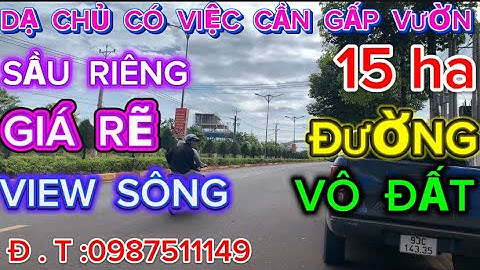 Dạ,Chủ có việc cần bán vườn sầu riêng đẹp giá rẽ view sông,15 ha.1 Tỷ250tr,1 ha,chủ bớt phí sang sổ