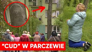 "Cud" w Parczewie. Byliśmy na miejscu. "Jak w Fatimie i Medziugorie"