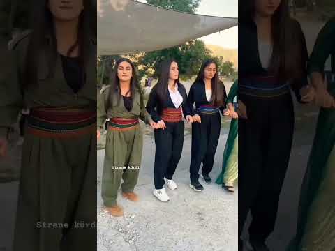 kürt kızları halay em bernadın ve dilanê Kürdish aşiret kurdish weding #shorts #short #shortvideo