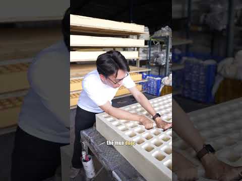 Video nệm Việt Nhật