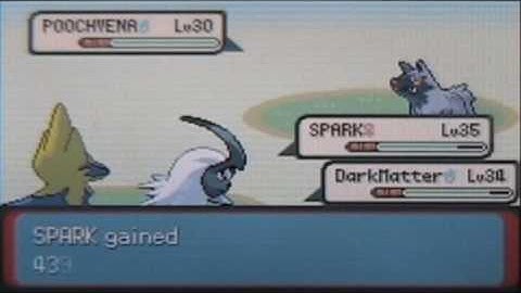 Pokemon Emerald Walkthrough Part 54