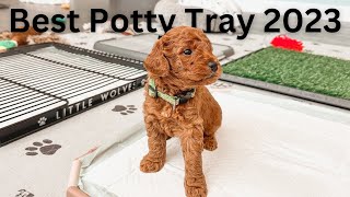 Best Dog Potty Tray 2023