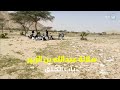 بتعيش عليه أحفاد عبد الله بن الزبير وفيه شجرة التحنيط بتعيش عليه أحفاد عبد الله بن الزبير وفيه شجرة التحنيط