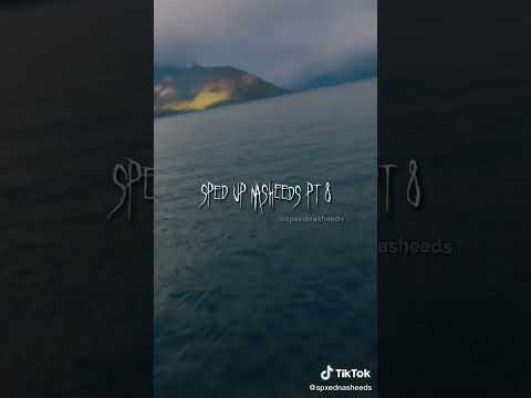 انشودة انت نور الله فجرا 