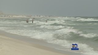 Famous Red flags caution Gulf Shores swimmers Wealth