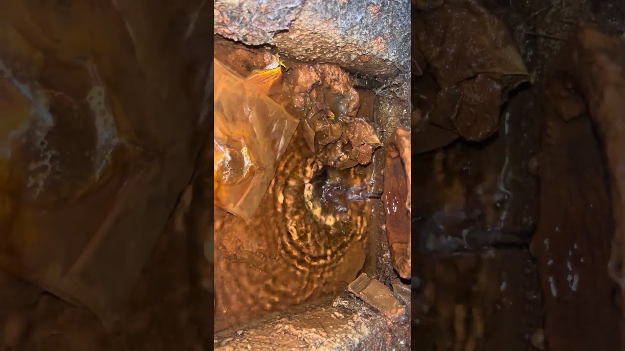 ASMR l'eau brunâtre qui coule du STM