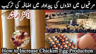 How to Enhance Poultry Eggs Production | Dr ARSHAD