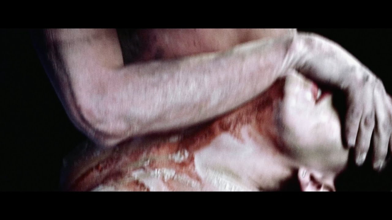 Gewalt & Gast: Max Gruber - Tier (Official Video)