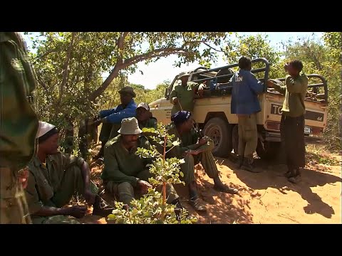 Video: De 8 bästa sakerna att göra i Windhoek, Namibia