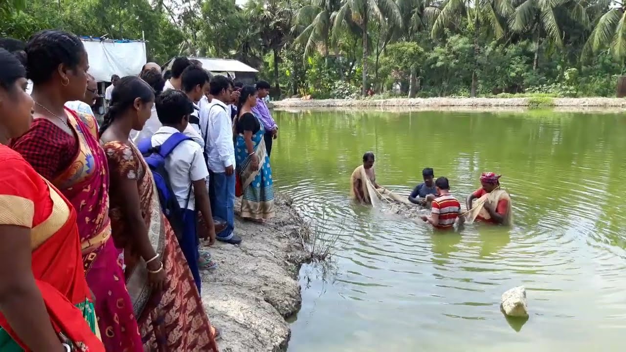 Composite Fish Farming :This technology enables to get maximum fish production from a pond