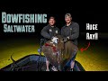 Barracudas and rays  saltwater bowfishing