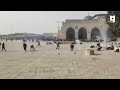 قدسنا لن تضام لن يمر المغول يوم من أيام الله سط ره المرابطون في باحات المسجد الأقصى قدسنا لن تضام لن يمر المغول يوم من أيام الله سط ره المرابطون في باحات المسجد الأقصى