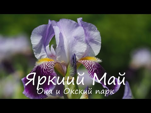 Видео: Яркий май, Ока и Окский парк, Bright May, Oka and Oksky Park