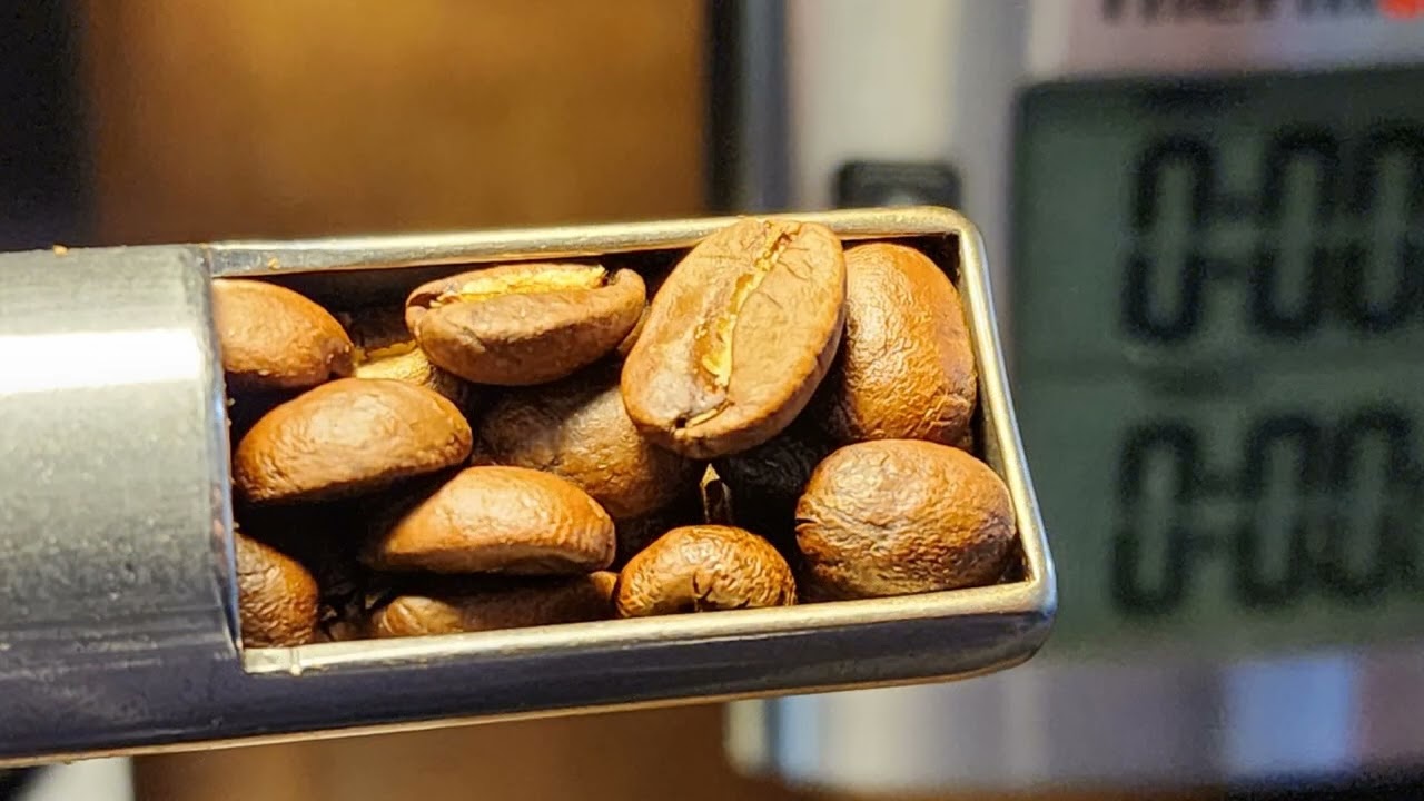 Kaldi Fortis full roast with chaff vent cleaning