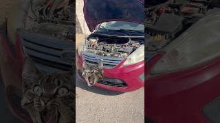 Sensor Oxígeno Ford Fiesta 2011-2026. Que mejora!!