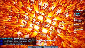 MINEPLEX HACKER FOUND