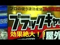 【実験】ブラックキャップの実力