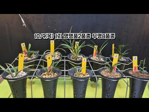 유튜브 썸네일