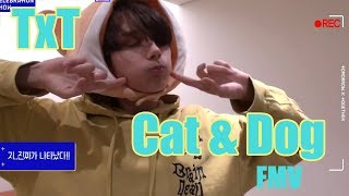 TXT Cat & Dog FMV