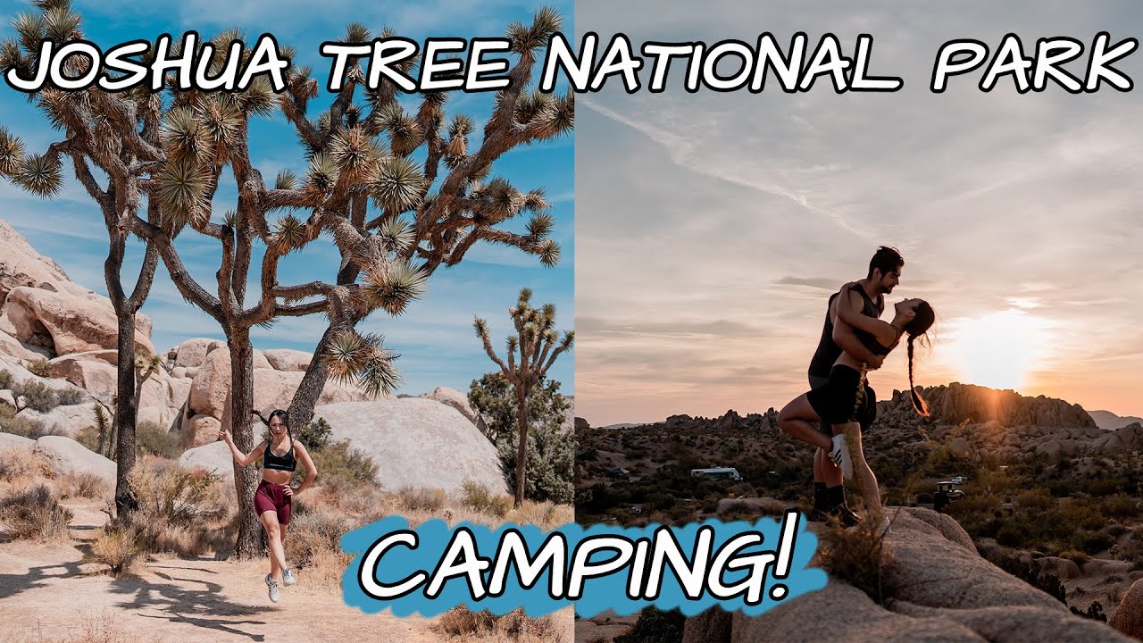 Joshua Tree Travel Vlog! (Camping + Photography)