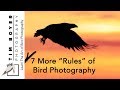 7 More "Rules" of Bird Photography